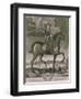 Equestrian Portrait of Oliver Cromwell circa 1655-Albert Haelwegh-Framed Giclee Print