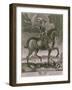 Equestrian Portrait of Oliver Cromwell circa 1655-Albert Haelwegh-Framed Giclee Print