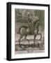 Equestrian Portrait of Oliver Cromwell circa 1655-Albert Haelwegh-Framed Giclee Print