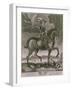 Equestrian Portrait of Oliver Cromwell circa 1655-Albert Haelwegh-Framed Giclee Print