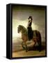 Equestrian Portrait of Queen Maria Luisa Wife of King Charles IV of Spain-Francisco de Goya-Framed Stretched Canvas