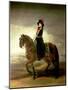 Equestrian Portrait of Queen Maria Luisa Wife of King Charles IV of Spain-Francisco de Goya-Mounted Giclee Print