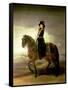 Equestrian Portrait of Queen Maria Luisa Wife of King Charles IV of Spain-Francisco de Goya-Framed Stretched Canvas