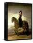 Equestrian Portrait of Queen Maria Luisa Wife of King Charles IV of Spain-Francisco de Goya-Framed Stretched Canvas