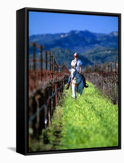 Equestrian Riding in a Vineyard, Napa Valley Wine Country, California, USA-John Alves-Framed Stretched Canvas