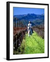 Equestrian Riding in a Vineyard, Napa Valley Wine Country, California, USA-John Alves-Framed Premium Photographic Print