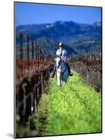 Equestrian Riding in a Vineyard, Napa Valley Wine Country, California, USA-John Alves-Mounted Photographic Print