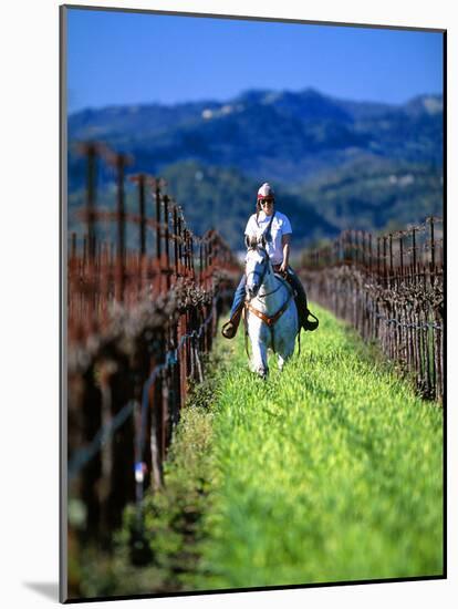 Equestrian Riding in a Vineyard, Napa Valley Wine Country, California, USA-John Alves-Mounted Photographic Print