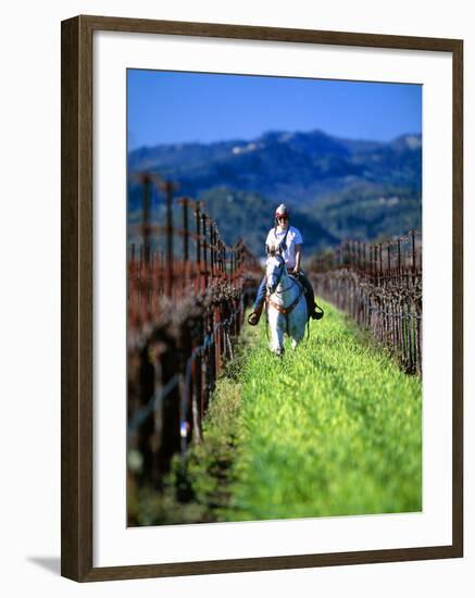 Equestrian Riding in a Vineyard, Napa Valley Wine Country, California, USA-John Alves-Framed Photographic Print