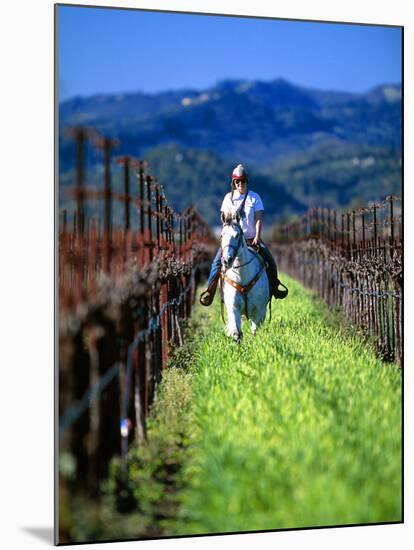 Equestrian Riding in a Vineyard, Napa Valley Wine Country, California, USA-John Alves-Mounted Photographic Print