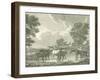 Equestrian Scenes I-Vision Studio-Framed Art Print