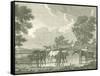 Equestrian Scenes I-Vision Studio-Framed Stretched Canvas