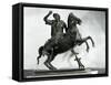 Equestrian Statue of Alexander the Great in Bronze from Herculaneum, Italy AD-null-Framed Stretched Canvas