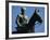 Equestrian Statue of General Mannerheim, Helsinki, Finland, Scandinavia-Ken Gillham-Framed Photographic Print