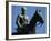 Equestrian Statue of General Mannerheim, Helsinki, Finland, Scandinavia-Ken Gillham-Framed Photographic Print