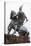 Equestrian Statue of George Castriota Scanderbeg-null-Stretched Canvas