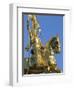 Equestrian Statue of Joan of Arc, French Quarter, New Orleans, Louisiana, USA-J P De Manne-Framed Photographic Print