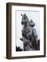 Equestrian Statue of John Sobieski trampling a Turk, Newby Hall, North Yorkshire, 20th century-CM Dixon-Framed Photographic Print