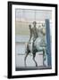 Equestrian Statue of Marcus Aurelius at Capitoline Museum-null-Framed Premium Photographic Print
