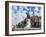 Equestrian Statue of Matyas Corvinus, Piata Uniri, Cluj, North West Transylvania, Romania-Richard Ashworth-Framed Photographic Print