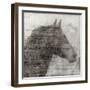 Equestrian Story 1-Ken Roko-Framed Art Print