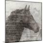 Equestrian Story 1-Ken Roko-Mounted Art Print
