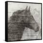 Equestrian Story 1-Ken Roko-Framed Stretched Canvas