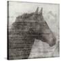 Equestrian Story 1-Ken Roko-Stretched Canvas