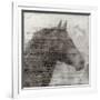 Equestrian Story 1-Ken Roko-Framed Art Print