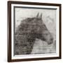 Equestrian Story 1-Ken Roko-Framed Art Print