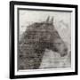 Equestrian Story 1-Ken Roko-Framed Art Print