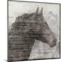 Equestrian Story 1-Ken Roko-Mounted Art Print