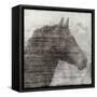 Equestrian Story 1-Ken Roko-Framed Stretched Canvas