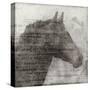 Equestrian Story 1-Ken Roko-Stretched Canvas