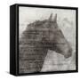 Equestrian Story 1-Ken Roko-Framed Stretched Canvas