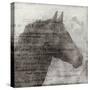 Equestrian Story 1-Ken Roko-Stretched Canvas