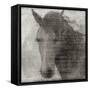 Equestrian Story 2-Ken Roko-Framed Stretched Canvas