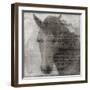 Equestrian Story 2-Ken Roko-Framed Art Print