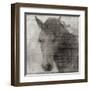 Equestrian Story 2-Ken Roko-Framed Art Print