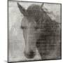 Equestrian Story 2-Ken Roko-Mounted Art Print