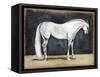 Equestrian Studies V-Naomi McCavitt-Framed Stretched Canvas