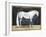 Equestrian Studies V-Naomi McCavitt-Framed Art Print