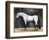 Equestrian Studies VI-Naomi McCavitt-Framed Art Print