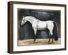 Equestrian Studies VI-Naomi McCavitt-Framed Art Print