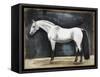 Equestrian Studies VI-Naomi McCavitt-Framed Stretched Canvas