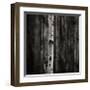 Equilibrium-Jamie Cook-Framed Giclee Print