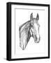 Equine Contour I-Emma Scarvey-Framed Art Print