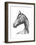 Equine Contour IV-Emma Scarvey-Framed Art Print