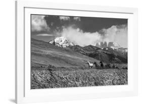 Equine Elevation-Andrew Geiger-Framed Giclee Print