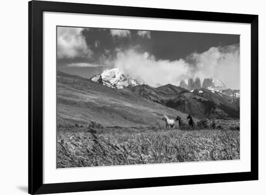 Equine Elevation-Andrew Geiger-Framed Giclee Print